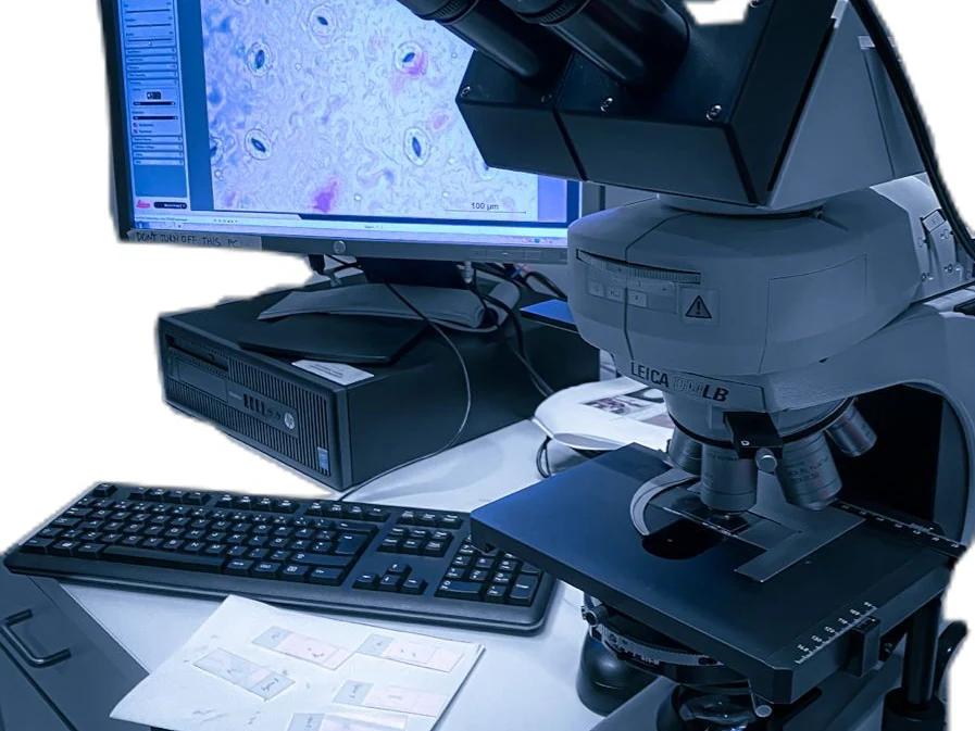 A bench microscope beside a monitor displaying a stained slide at 100 micrometre scale, with prepared slides on the bench